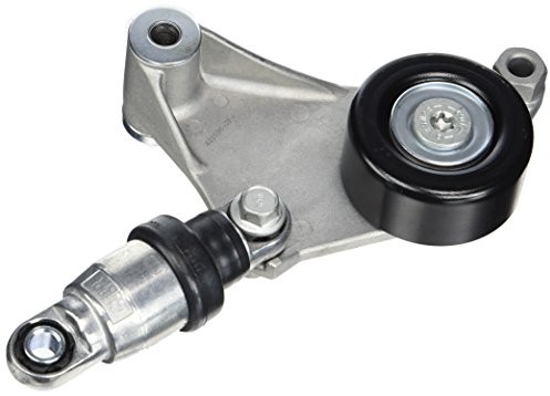 ESEN SKV ESEN SKV 25SKV256 wzmacniacz siły hamowania 25SKV256