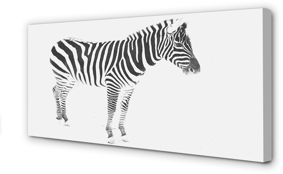 PL Tulup Obrazy na płótnie Malowana zebra 120x60cm