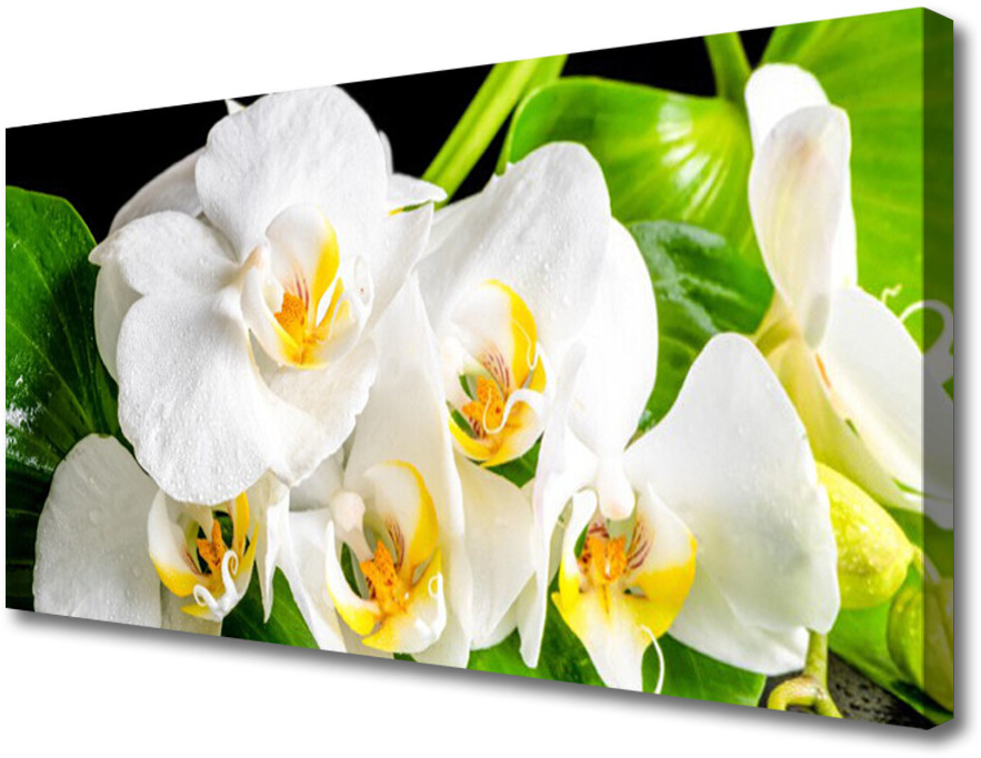 PL Tulup Obraz Canvas Orchidea Kwiaty Natura 140x70cm