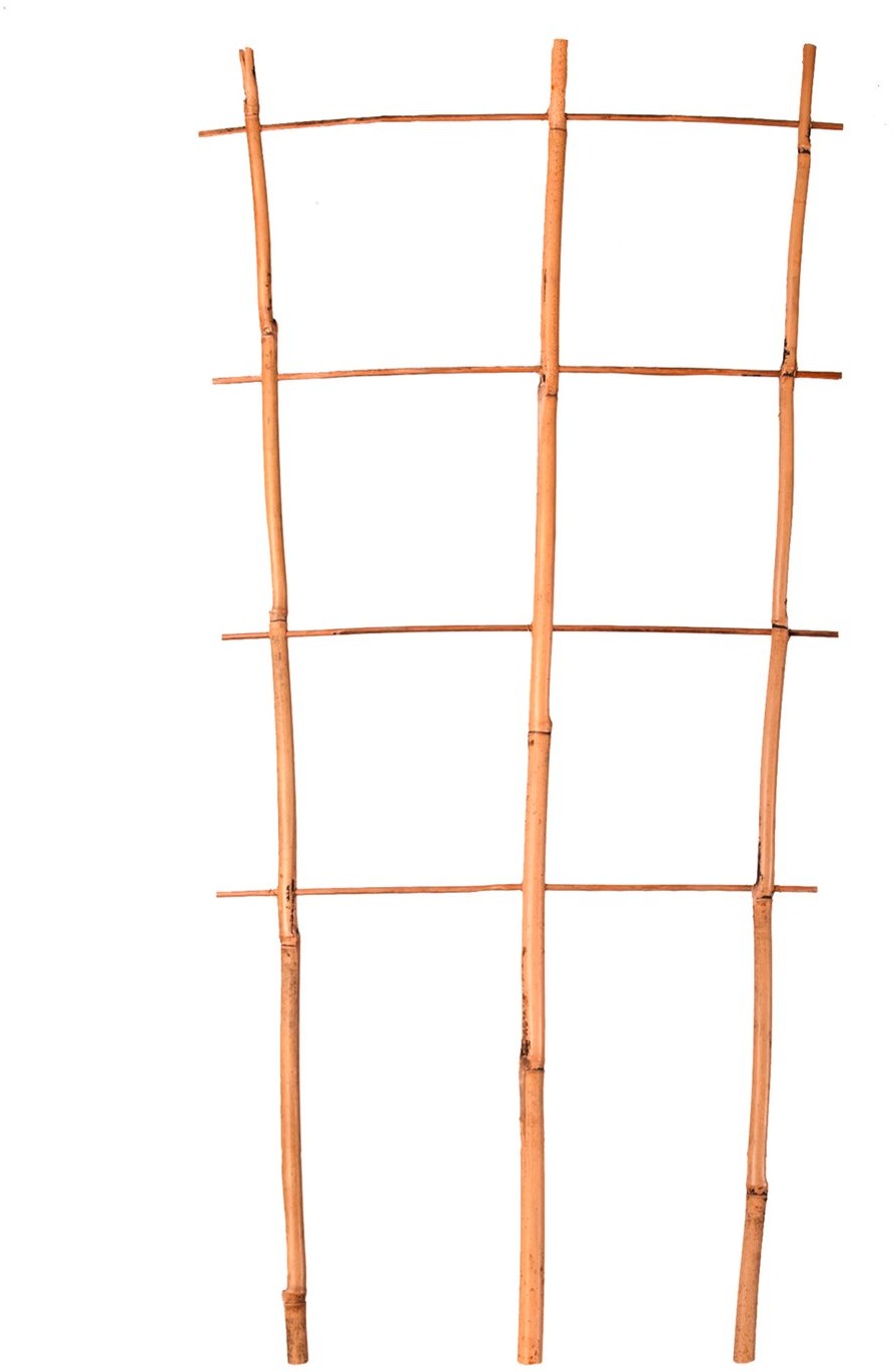 gockowiak Drabinka bambusowa potrójna 60 cm