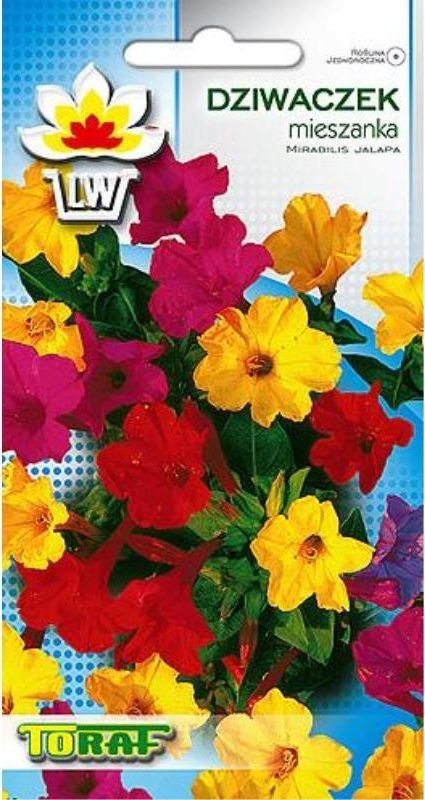 Toraf KWIATY Dziwaczek mix nasiona 2g 00381