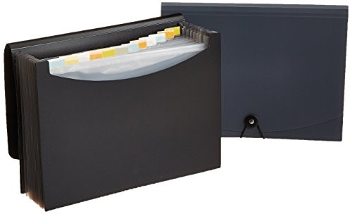 AmazonBasics teczka z przegródkami, rozmiar standardowy. PBH-2558