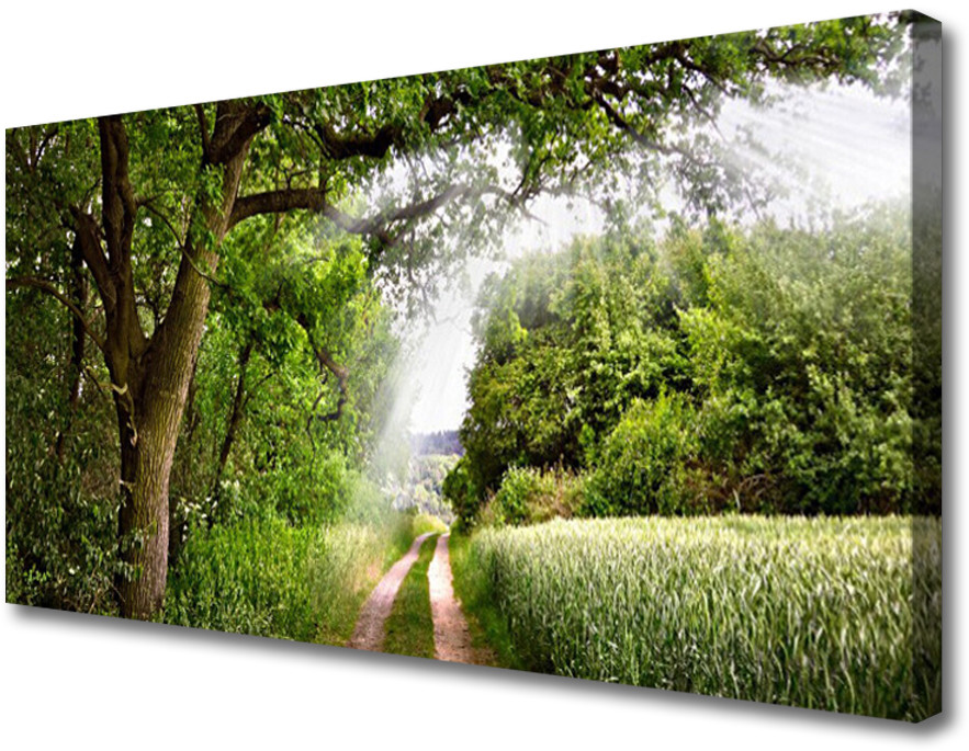 PL Tulup Obraz Canvas Drzewa Ścieżka Natura 100x50cm