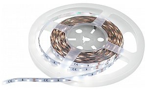 Eurolite Taśma LED 300 5m 3528 5700K 12V 50530112
