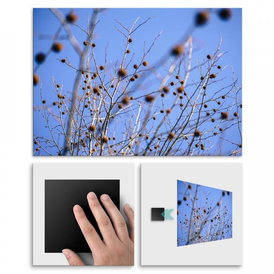 Pix4home Plakat metalowy Słońce zimą M POS-M-01382