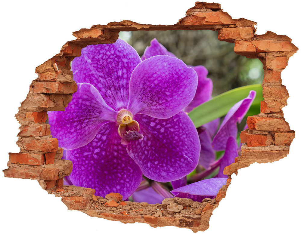 Wallmuralia.pl Samoprzylepna dziura naklejka Orchidea