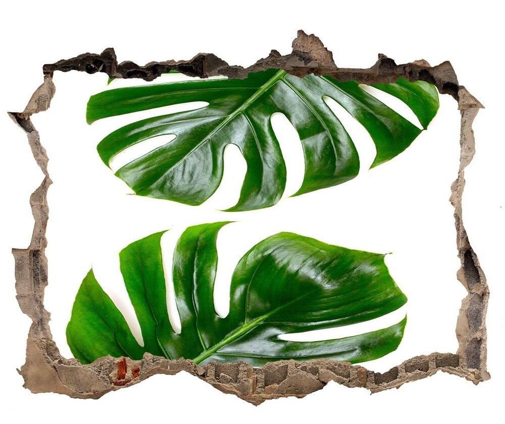 Wallmuralia.pl Naklejka 3D dziura beton Tropikalne liście