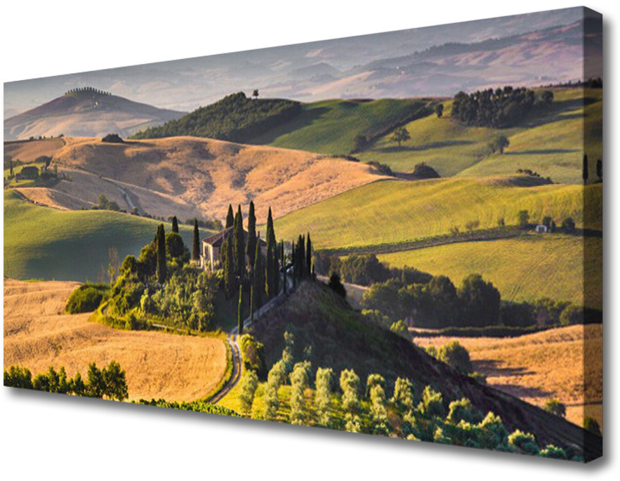 PL Tulup Obraz Canvas Krajobraz Wyżyny Łąki Domek 125x50cm