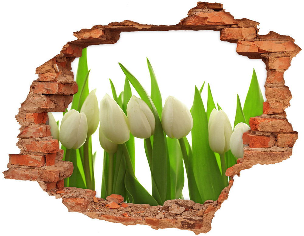 Wallmuralia.pl Samoprzylepna naklejka na ścianę Białe tulipany