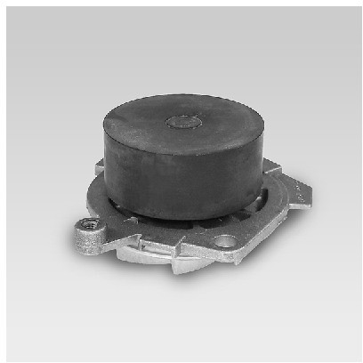 HEPU Pompa wodna P1012