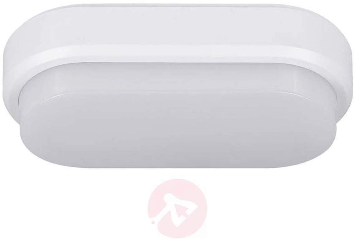 Müller-Licht Bulkhead  owalna lampa sufitowa LED