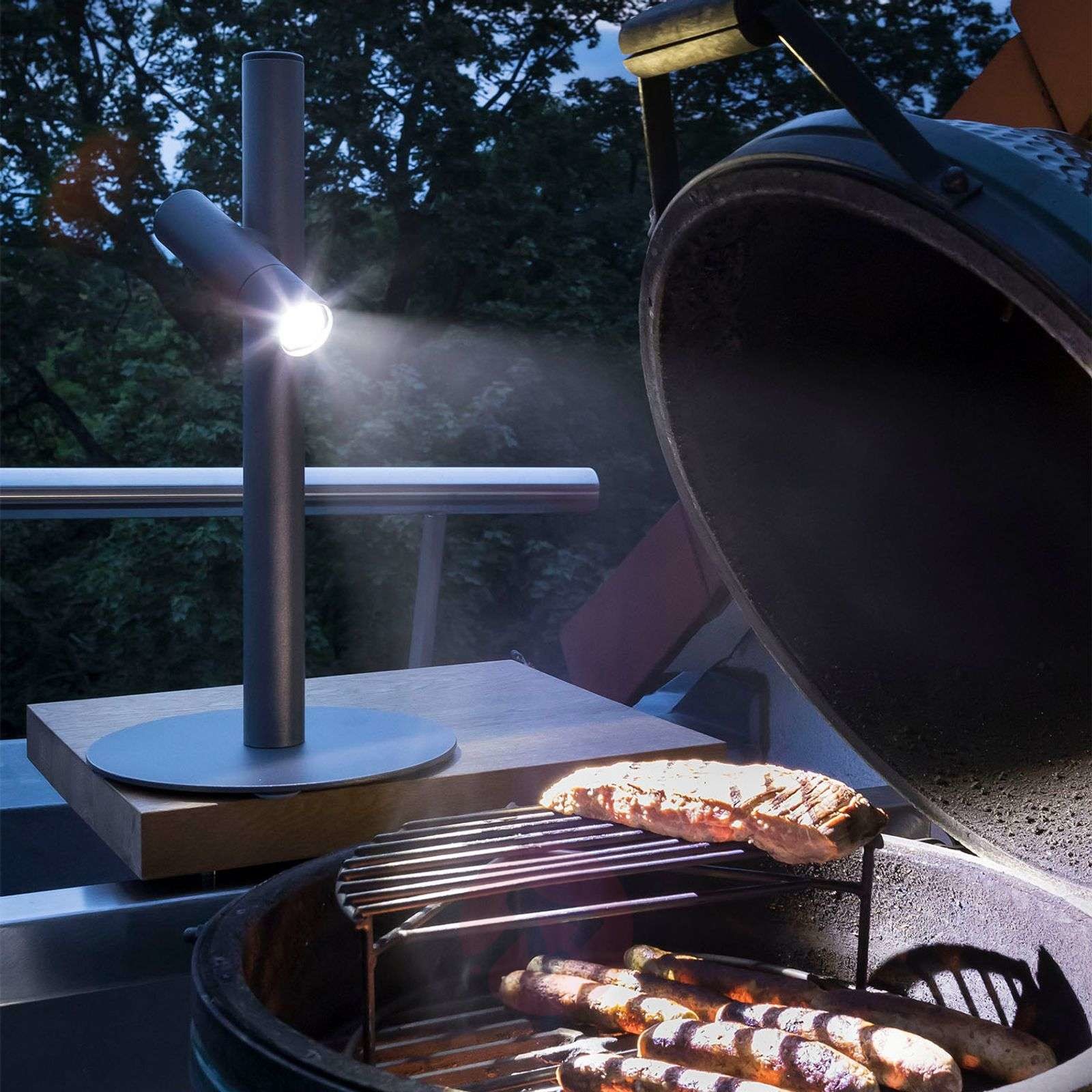 Evotec Lampa tarasowa LED Paul Basic, 1-punktowa