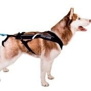 NON-stop dogwear NON-stop Freemotion, 10