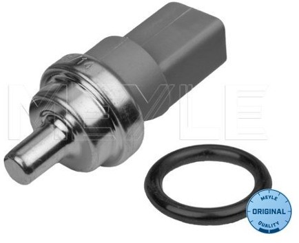 Wulf Gaertner Autoparts Czujnik, temperatura płynu chłodzącego Wulf Gaertner Autoparts 100 919 0032 100 919 0032