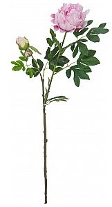 Europalms EUROPALMS Kwiat Piwonia premium, sztuczna roślina, różowy, 100 cm 82530220