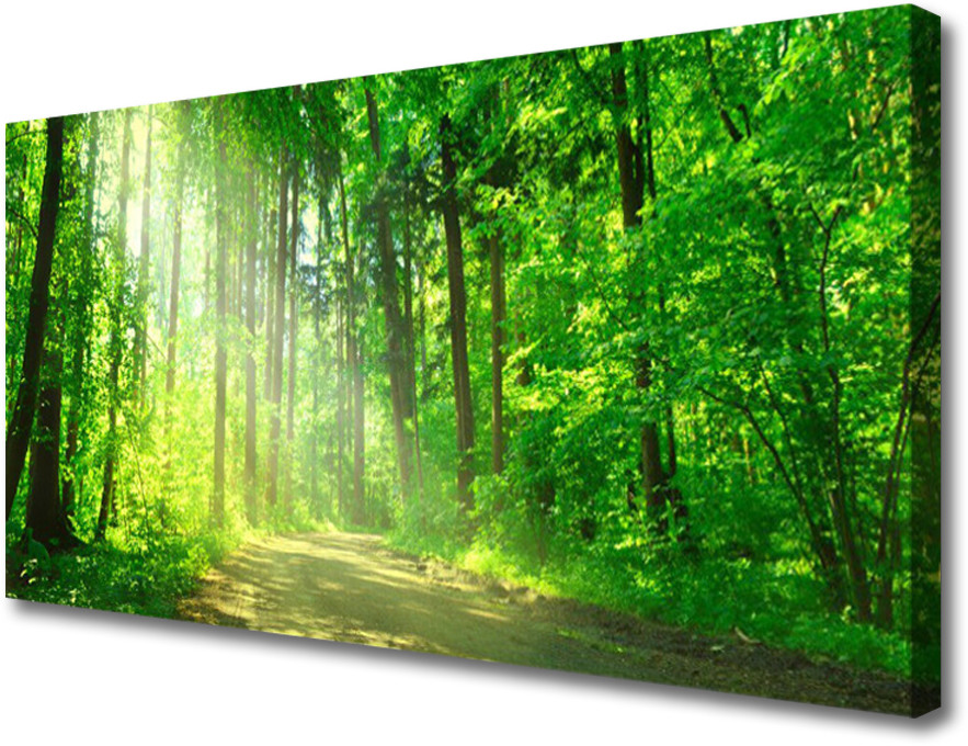 PL Tulup Obraz Canvas Las dróżka Drzewa Natura 100x50cm