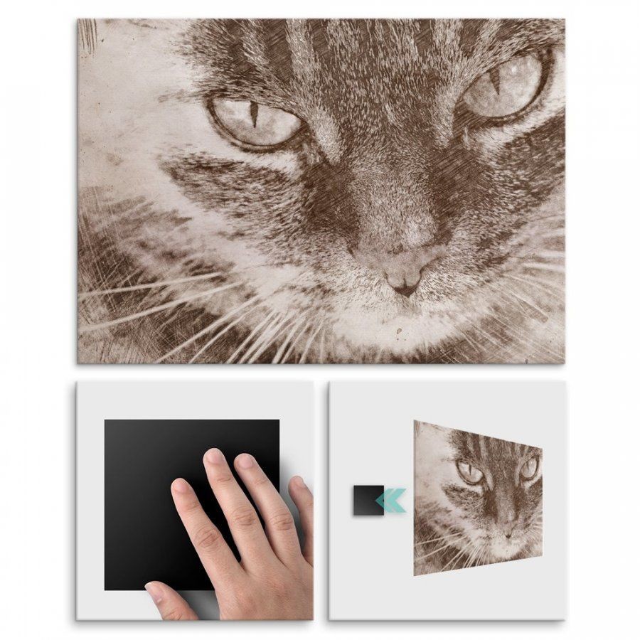 Pix4home Plakat metalowy kot L POS-L-01460