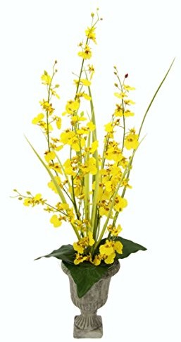 Flair Flower tańczący storczyk w puchu