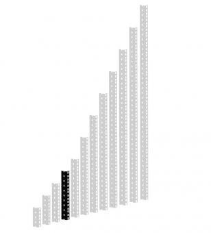 ah Hardware AH Hardware Adam Hall Parts HD szyny stelaża 48,26 cm (19 cale) 10 HE czarny 61535B5
