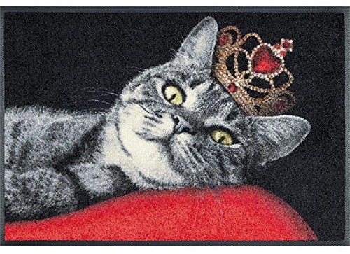 Wash&Dry Wycieraczka wash + dry 078760 Royal Cat, 50 x 75 cm 078760