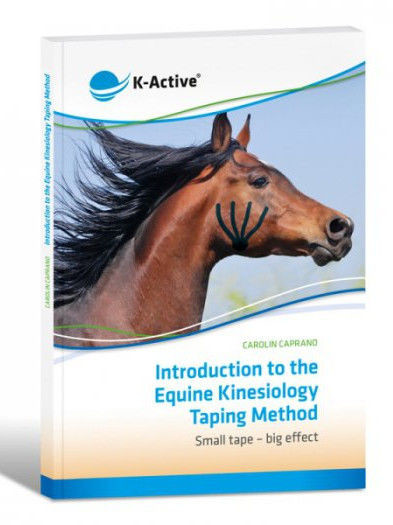 K-active Wprowadzenie do metody Tapingu Kinezjologii dla koni - Carolin Caprano