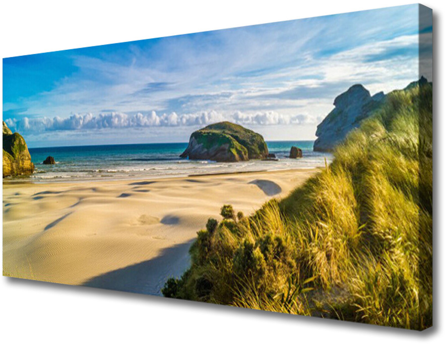 PL Tulup Obraz Canvas Plaża Morze Ocean 125x50cm