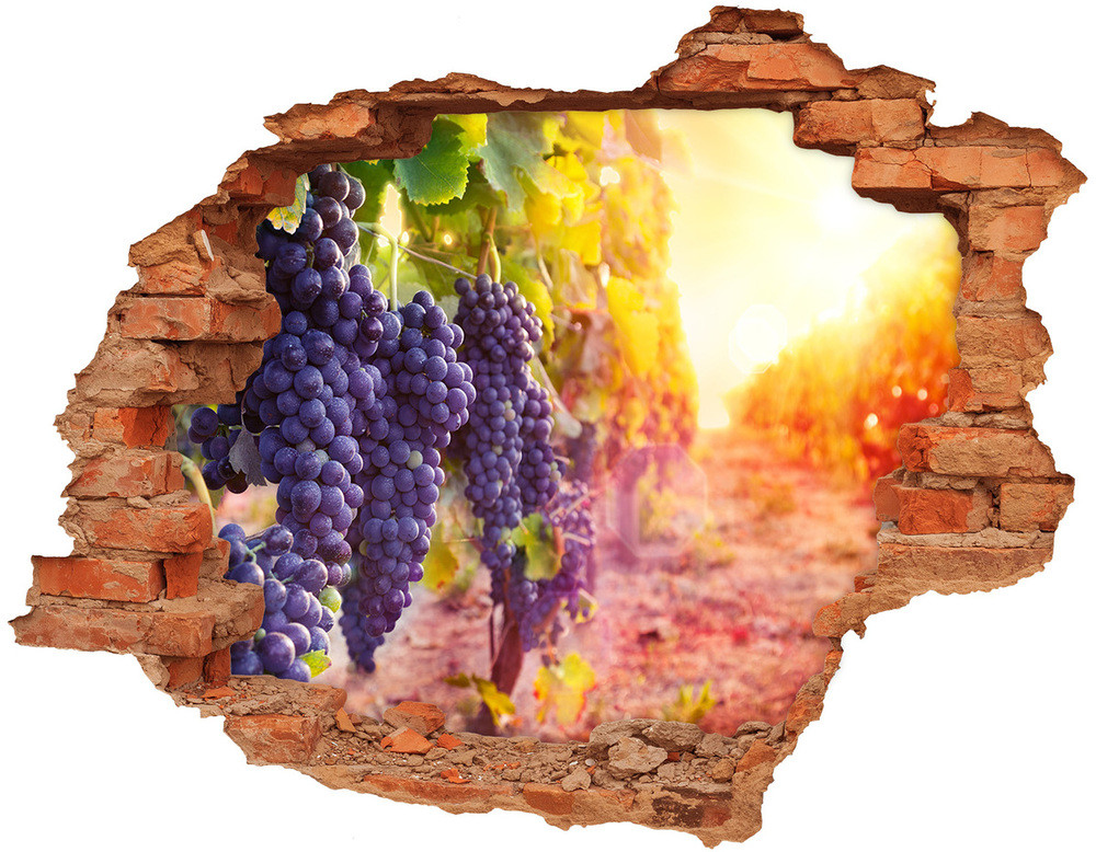 Wallmuralia.pl Samoprzylepna naklejka beton Winorośle