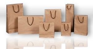 Torebka KRAFT (4) butelka 9x37x8