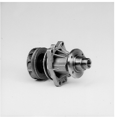 HEPU Pompa wody P462
