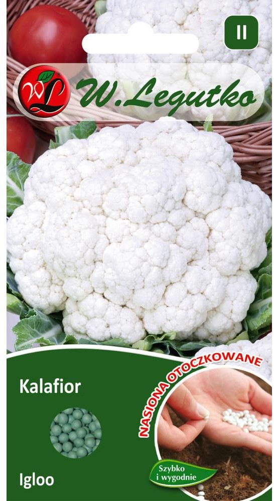 Legutko Kalafior Igloo nasiona 50szt otoczkowane