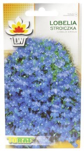 Toraf Lobelia Stroiczka Nas000312