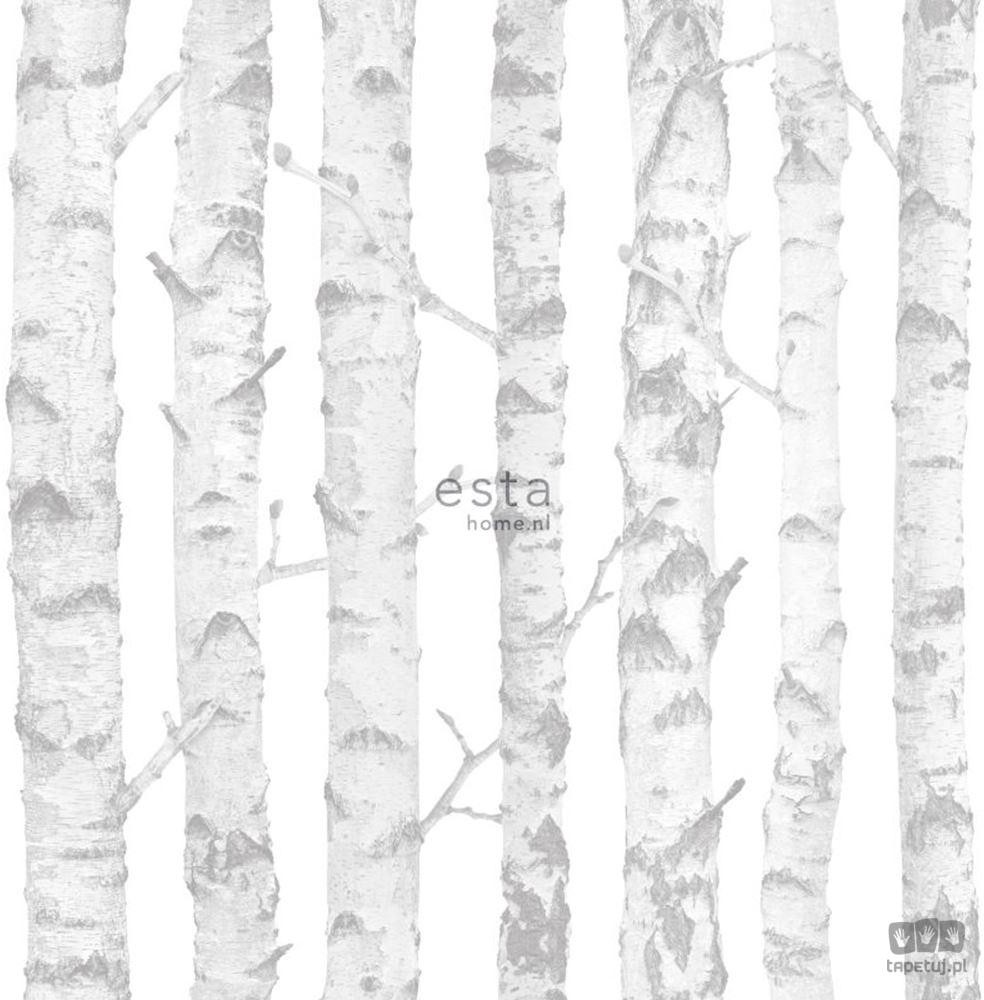 Esta Home Little Bandits 138944 tapeta ścienna 138944