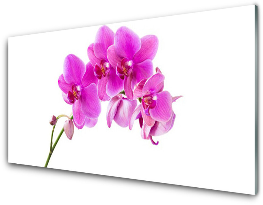 Tulup.pl Panel Szklany Storczyk Kwiat Orchidea 100x50cm