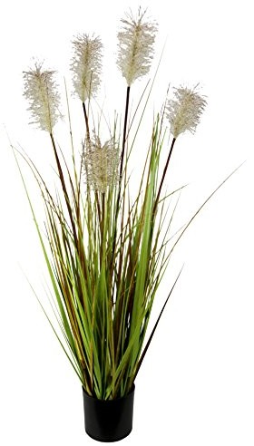 Flair Flower pampa trawy w doniczce, plastik, kolor naturalny, 90 x 28 x 28 cm 150999N