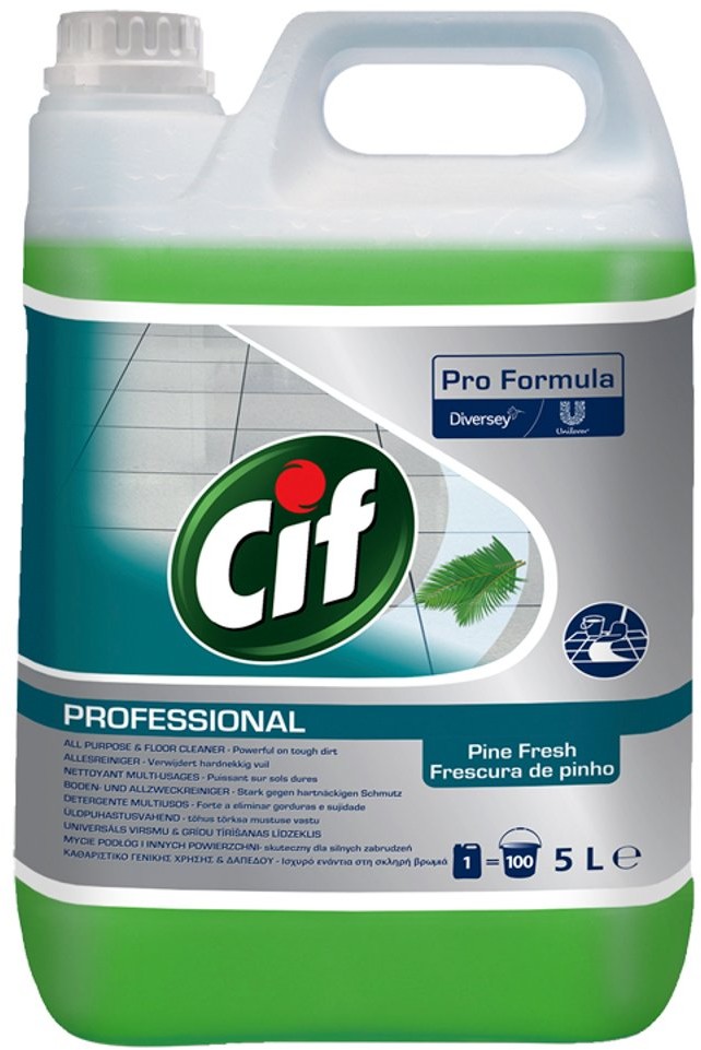 INNY Produkt Czyszczący Cifapcfp 124L597