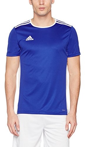 Adidas męski entrada 18 JSY koszulkach-Team koszulkach, wielokolorowa, l CF1037