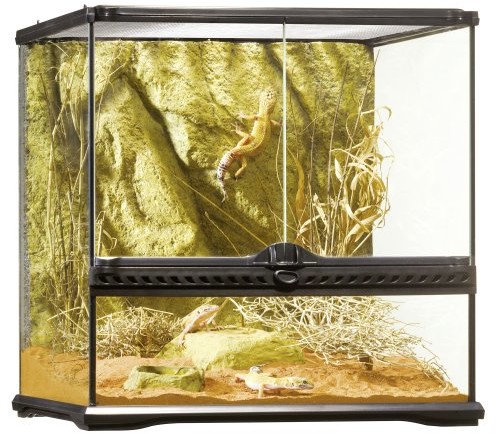 Exo Terra naturalny terrarium Nano, 45x45x45cm