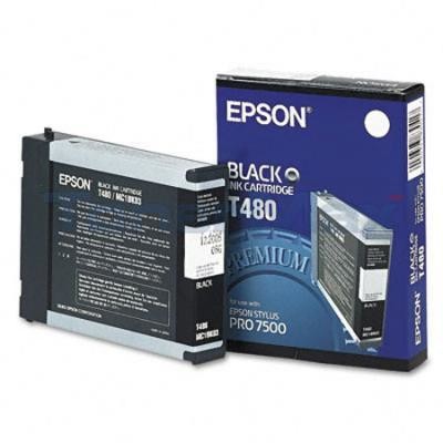 Epson T4800