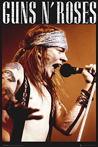 empireposter 763648, Guns N Roses pachy plakat 763648