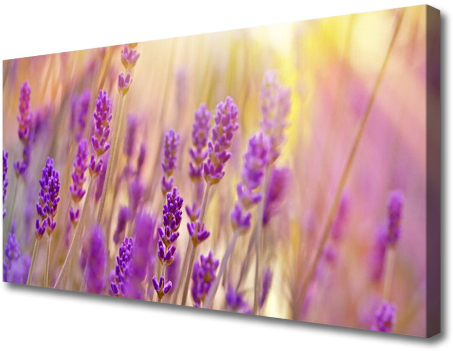 PL Tulup Obraz Canvas Kwiaty Roślina Natura 120x60cm