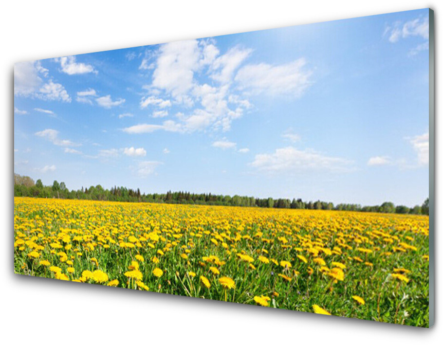 Tulup.pl Panel Kuchenny Mniszek Lekarski Łąka 125x50cm