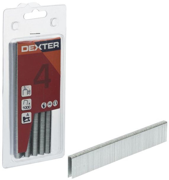 DEXTER Zszywki DEXTER