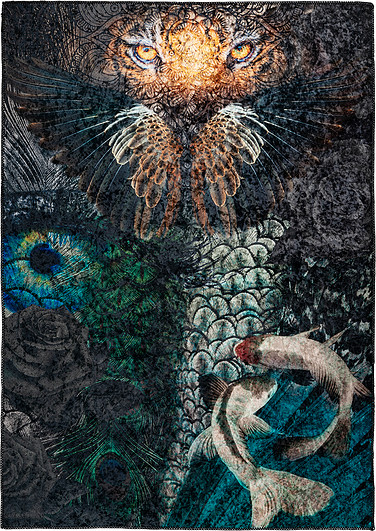 Obsession Dywan Exotic 210 160 x 230 cm kolorowy exo210mult160230
