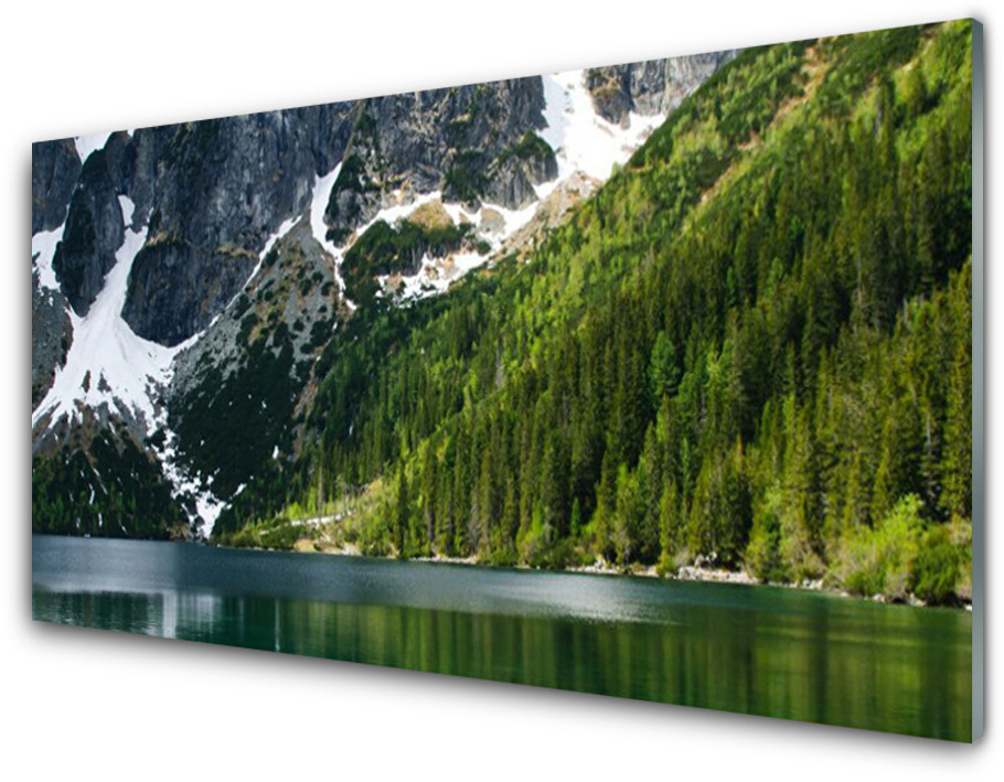 Tulup.pl Panel Szklany Jezioro Las Góry Krajobraz 100x50cm