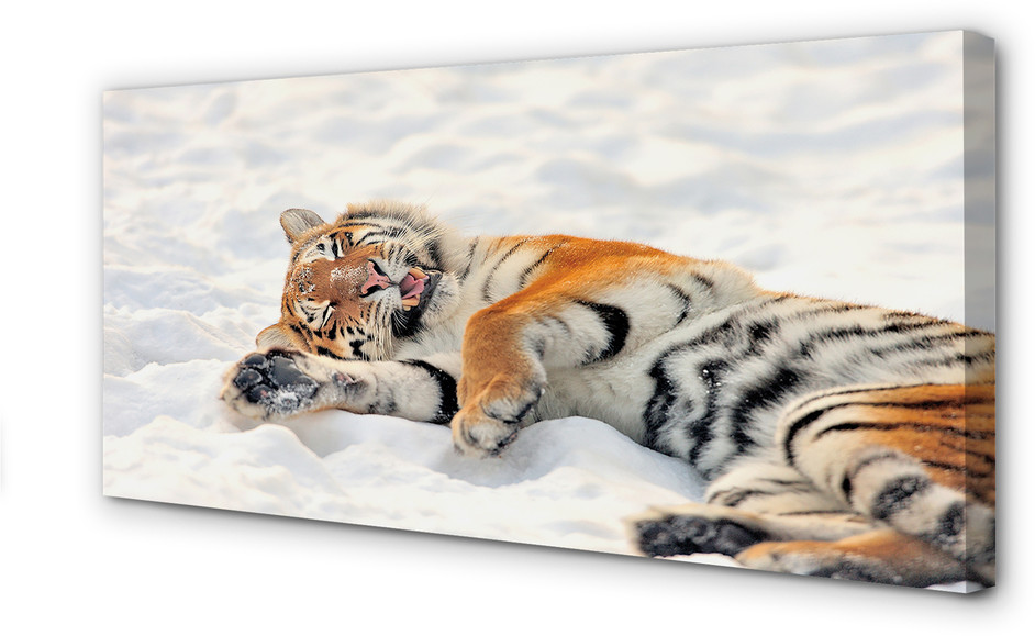 PL Tulup Obrazy na płótnie Tygrys zima śnieg 140x70cm