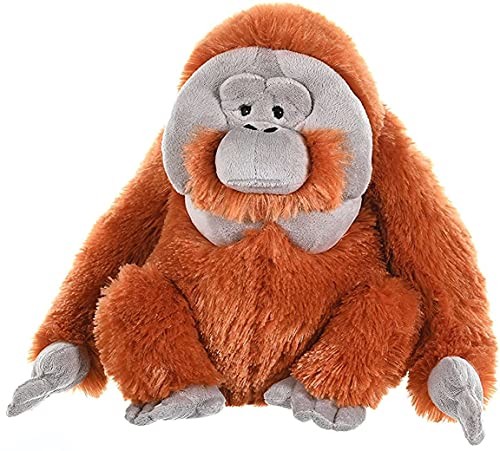 Wild Republic Męska orangutan pluszowa miękka zabawka, przytulanki przytulanki, prezenty dla dzieci 30 cm 12250
