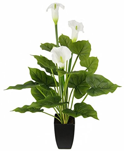 Flair Flower I.T. poliester, tworzywo sztuczne. 151408W