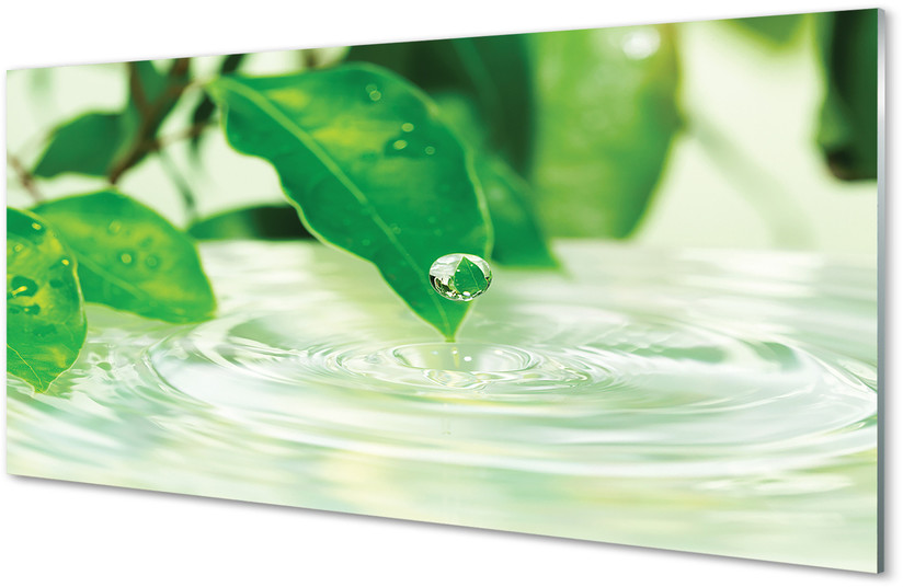 Tulup.pl Szklany Panel Krople liście woda 100x50cm