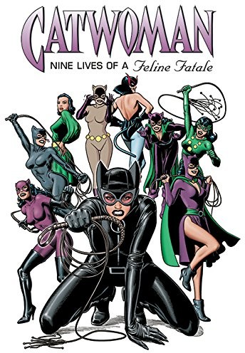 Catwoman Feline Fatale nadruki na płótnie 60 x 80 cm, wielokolorowa WDC99603