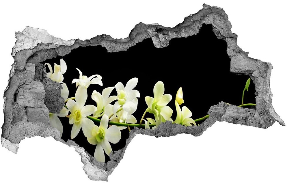Wallmuralia.pl Samoprzylepna naklejka fototapeta Orchidea